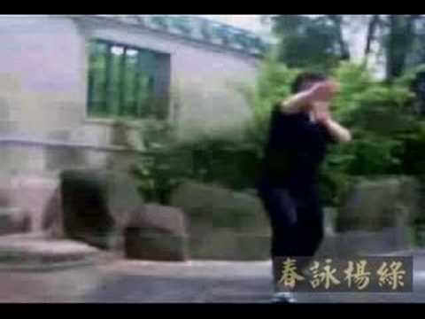 Wing Chun Kuen Competitive Form (4th Form) - 詠春摘要 - Ip Ching