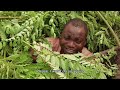 Arewa Igbo - Latest Yoruba Movies 2026 Femi Adebayo, Mercy Ebosele, Tijani Adekola
