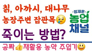 칡, 아까시, 대나무, 농장주변 잡관목 죽이는 방법? ???? 공짜! 재활용 원액 주입기 만들기???? 