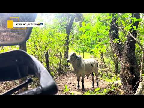 La hacienda y el carrizal, municipio de Erandique lempira, Honduras 🇭🇳 rutas en moto montaña