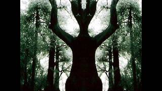 Tele:Funken / Flying Saucer Attack - Part One