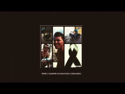 DONZI - CHIKILUKI💎 #PRODIGIODECUNA