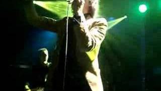 JARVIS COCKER &quot;I WILL KILL AGAIN&quot; EN BUENOS AIRES