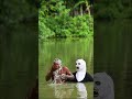 OMG SCARY GHOST ATTACK PRANK ON BATH MAN SAGOR BHUYAN Scary Ghost Prank