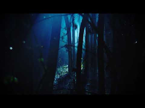 Ten Little Soldier Boys - Begüm Bektaş / Erdem Manaf