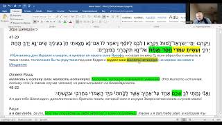 זרה שימשון -- ואחי 5 -- דמיטרי קלאשניק
