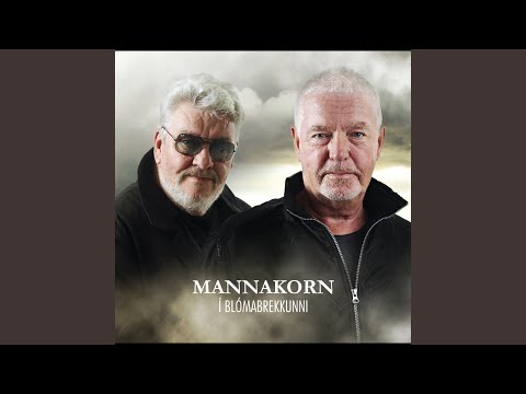 Sumar hvern einasta dag