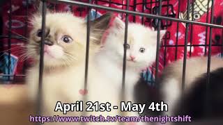 The Night Shift Stream and Kitten Rescue Fundraiser