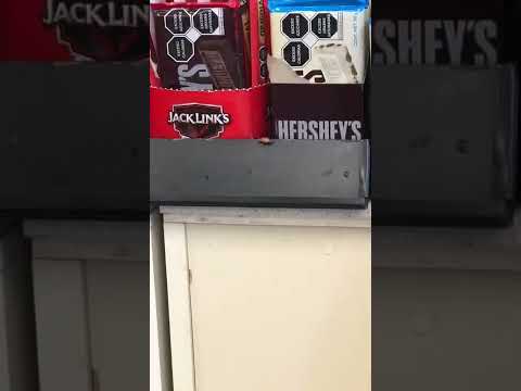 Cucarachas en el OXXO!