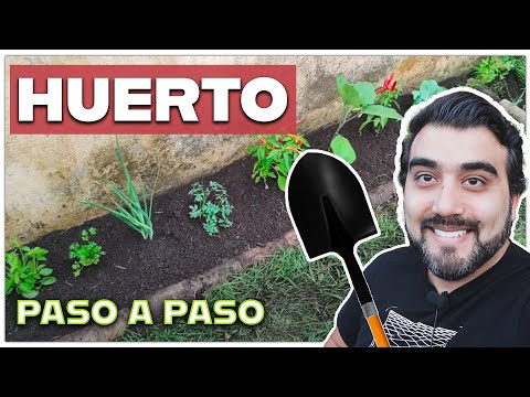 Como hacer un huerto en casa, con poco espacio. Increíble Huerta orgánica.