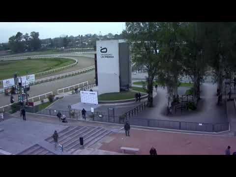 CARRERAS HIPODROMO LAS PIEDRAS -  23/6/23