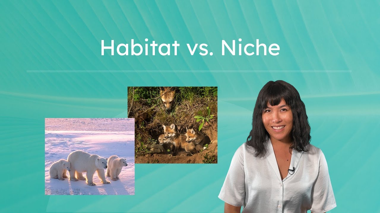 Habitat vs. Niche - What's the Difference?