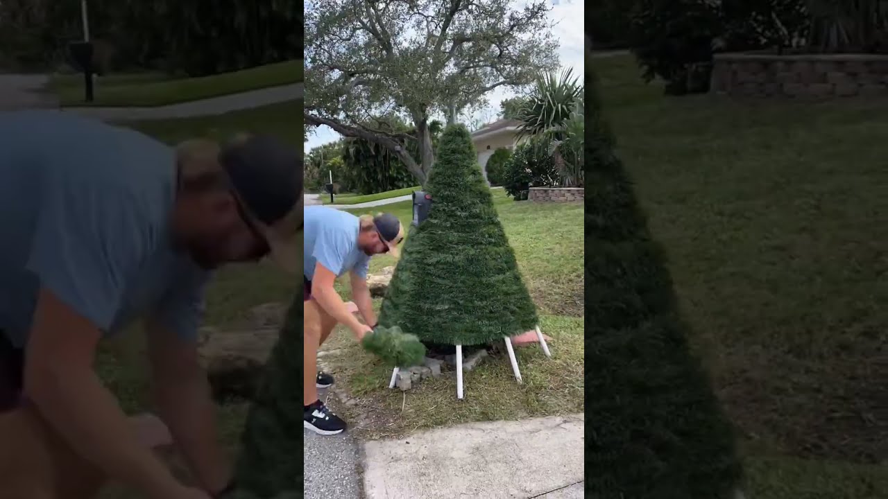 Transforming a Mailbox into a Festive Christmas Tree