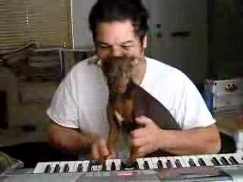 Amazing dog plays christmas jingle