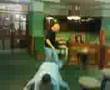 d.i dance off