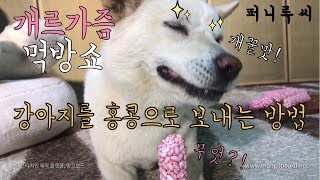 Dog Eating Strawberry Flavored Rice Puffs [Sound Dogs Love]