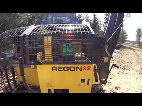 Voi Regon minkä teit...