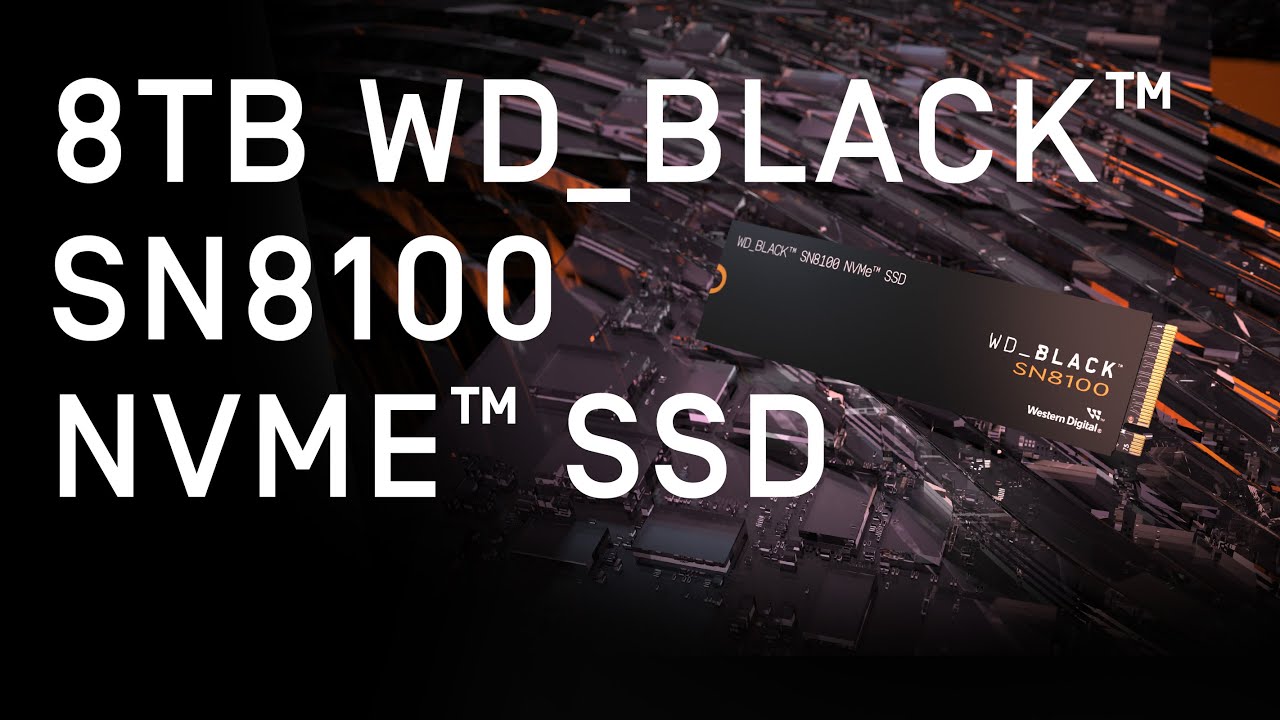 WD_BLACK™ SN8100 NVMe™ SSD