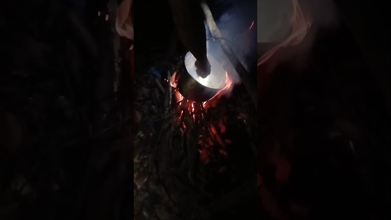 Video 4 de la galería: expedición en la Amazonía peruana