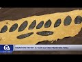Teen discovers possible 2,000-year-old artifacts