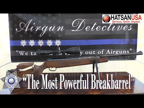 Top 3 Quietest Hatsan Air Rifles for Backyard Use 2025 (Real Backyard Sound Test)