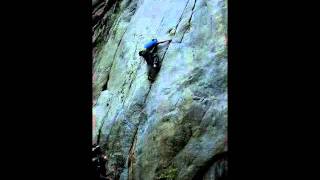 The masses are asses