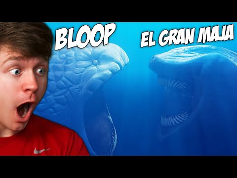 Reacting to BLOOP vs EL GRAN MAJA!