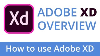 How to use Adobe XD | Adobe XD Introduction | What is Adobe XD | Hindi