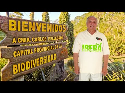 Carlos Pellegrini , Esteros de Iberá , Corrientes , Video Promocional 