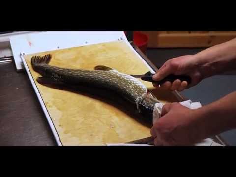 Fabula Nature - #5 Saariston makuja, Ruodoton hauki, 2014