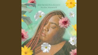 Hummingbird Music Video