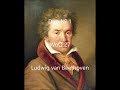 Allegro comodo - Ludwig van Beethoven, Van Yzerlooy Duo