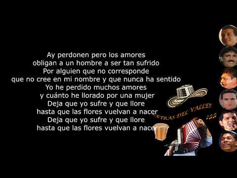 Déjame llorar - Diomedes Díaz (Letra)