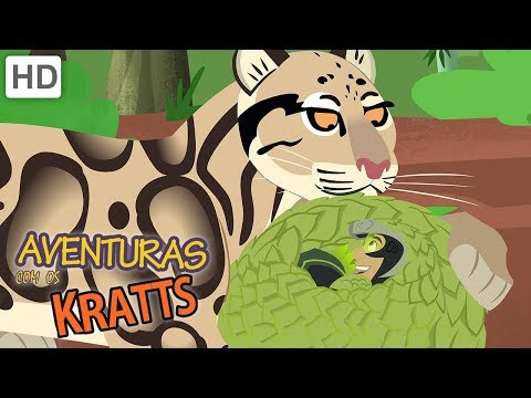 Aventuras con los Kratt | Cómo Proteger a los Animales en Peligro de Extinción