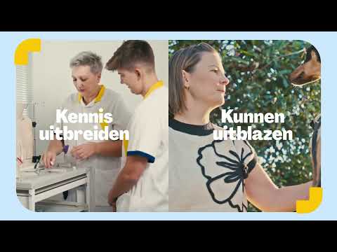 Werken bij Wit-Gele Kruis - HR foto 