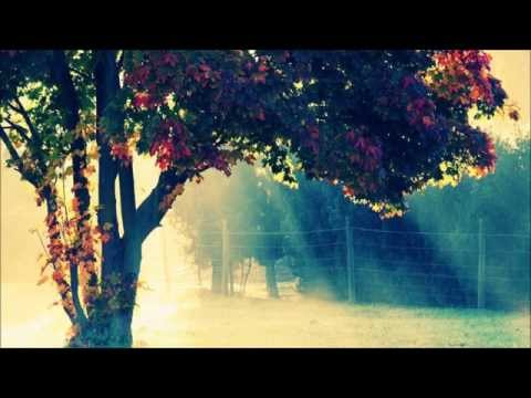 James Lowndes & Paul Lowndes - Only You (Alex H Remix)