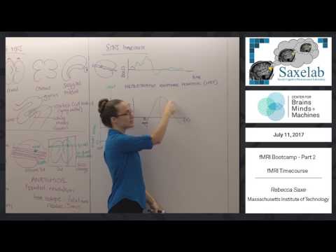 fMRI Bootcamp Part 2 - fMRI Timecourse