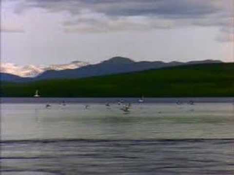 Dj Hakki & Dj Celo - Only For The Partycrashers