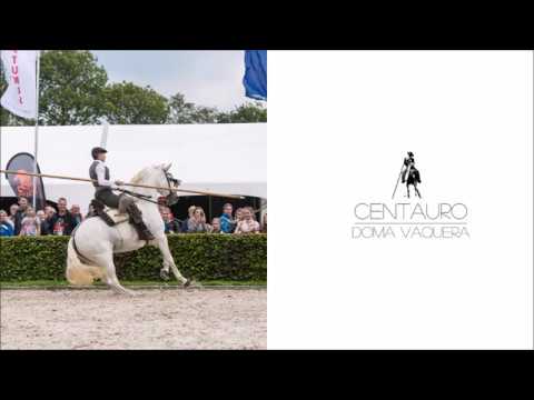 Centauro -  Basic Doma Vaquera lesson 3: the stop