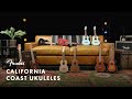 Fender Zuma Exotic Ukulélé Concert Natural Bocote Set thumbnail 13