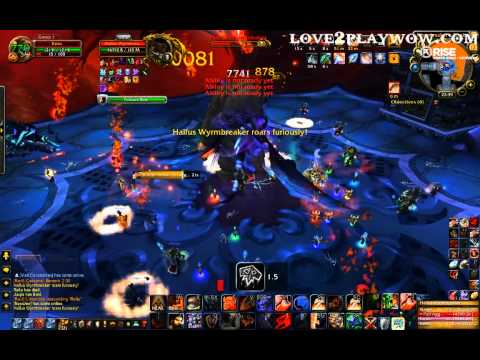 Halfus Wyrmbreaker Guide