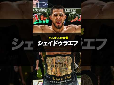 RIZINフェザー級絶対王者ラジャブアリシェイドゥラエフ#shorts #mma #rizin