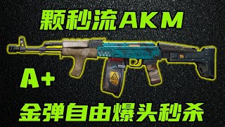 三角洲行动 版本唯一金弹自由武器！爆头100伤害的颗秒流AKM到底怎么改？【A+】