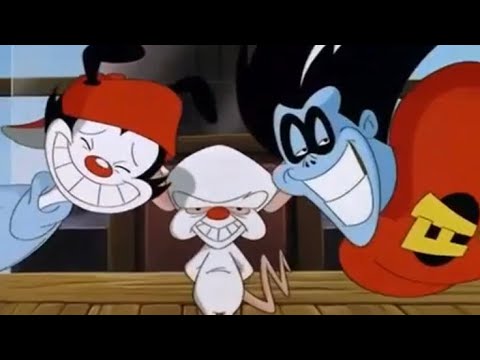 Freakazoid, Wakko and the Brain argue.