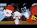 Freakazoid Wakko And The Brain Argue