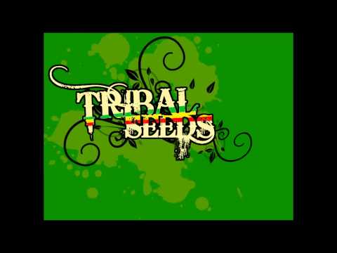 Tribal Seeds - Creator