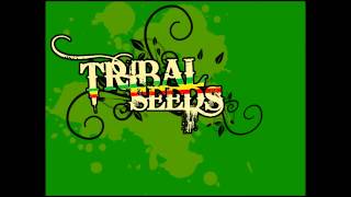 Tribal Seeds - Creator