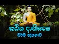 කඨින ආනිසංස ධර්ම දේශනාව |Ven Balangoda Radha Thero  Ama Dora Viwara Viya