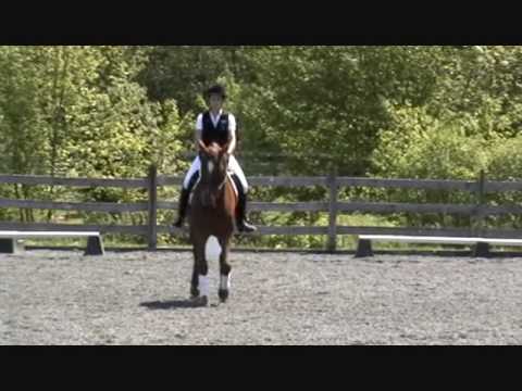 Jessica Forend JWU Sr. Video