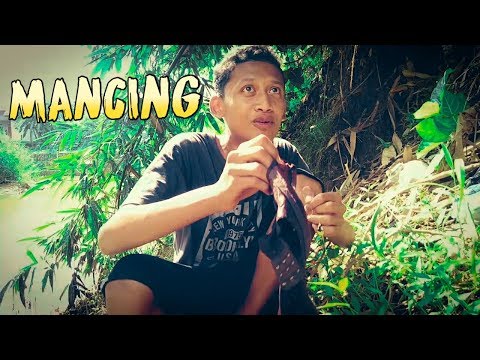 MANCING | FILM PENDEK NGAPAK MAJENANG,CILACAP